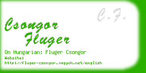csongor fluger business card